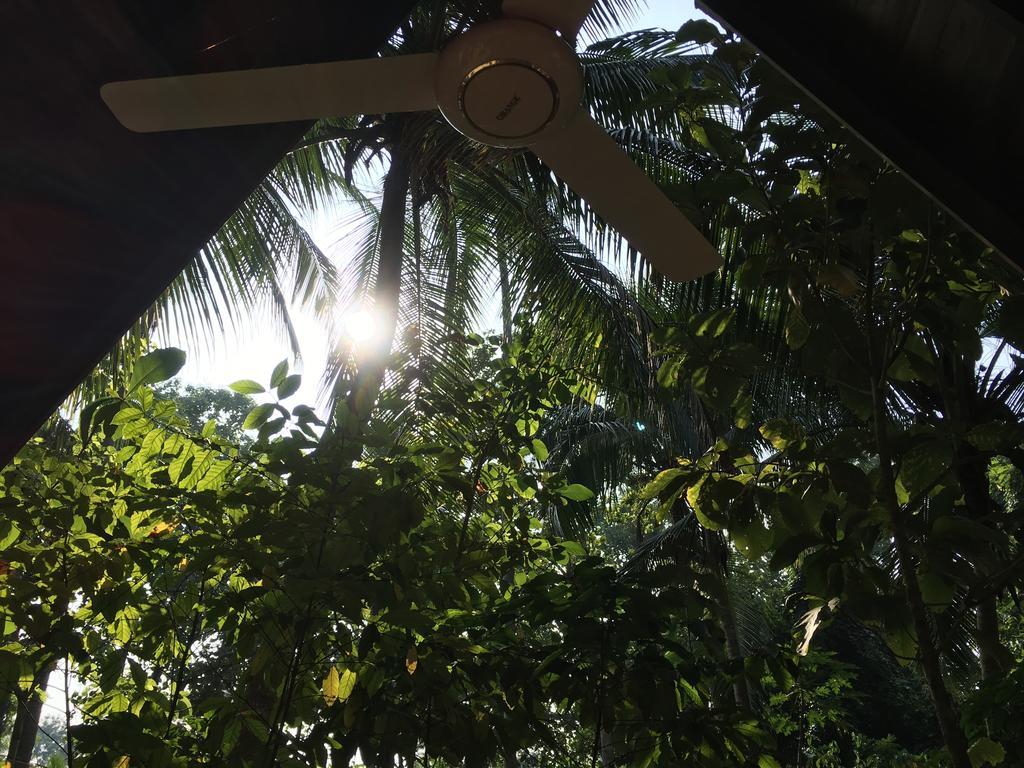 Elegant Hamlets Home Stay Chilaw Exterior foto