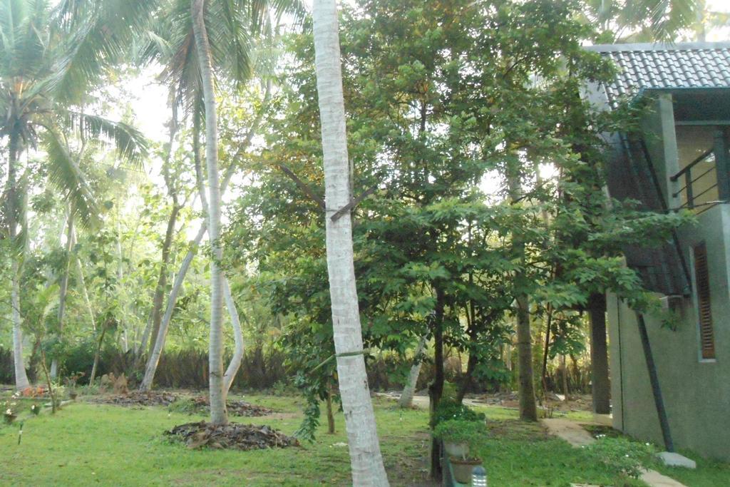 Elegant Hamlets Home Stay Chilaw Exterior foto